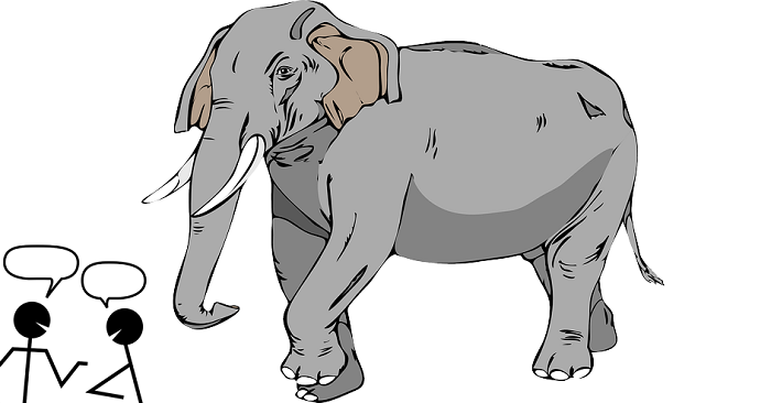 elephant