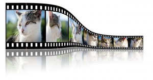 動画マーケティング成功10ヶ条