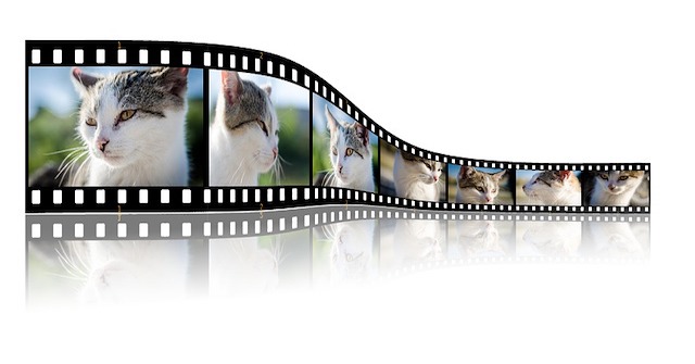 video api